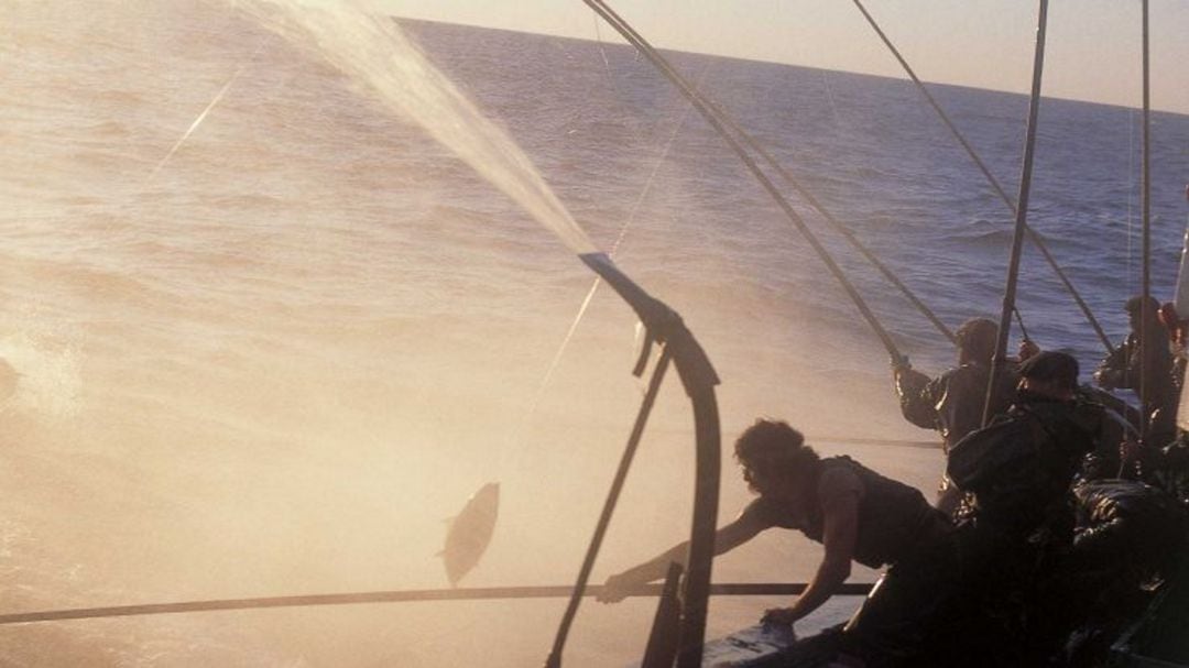 Arrantzales vascos pescando bonito a la manera tradicional, uno por uno