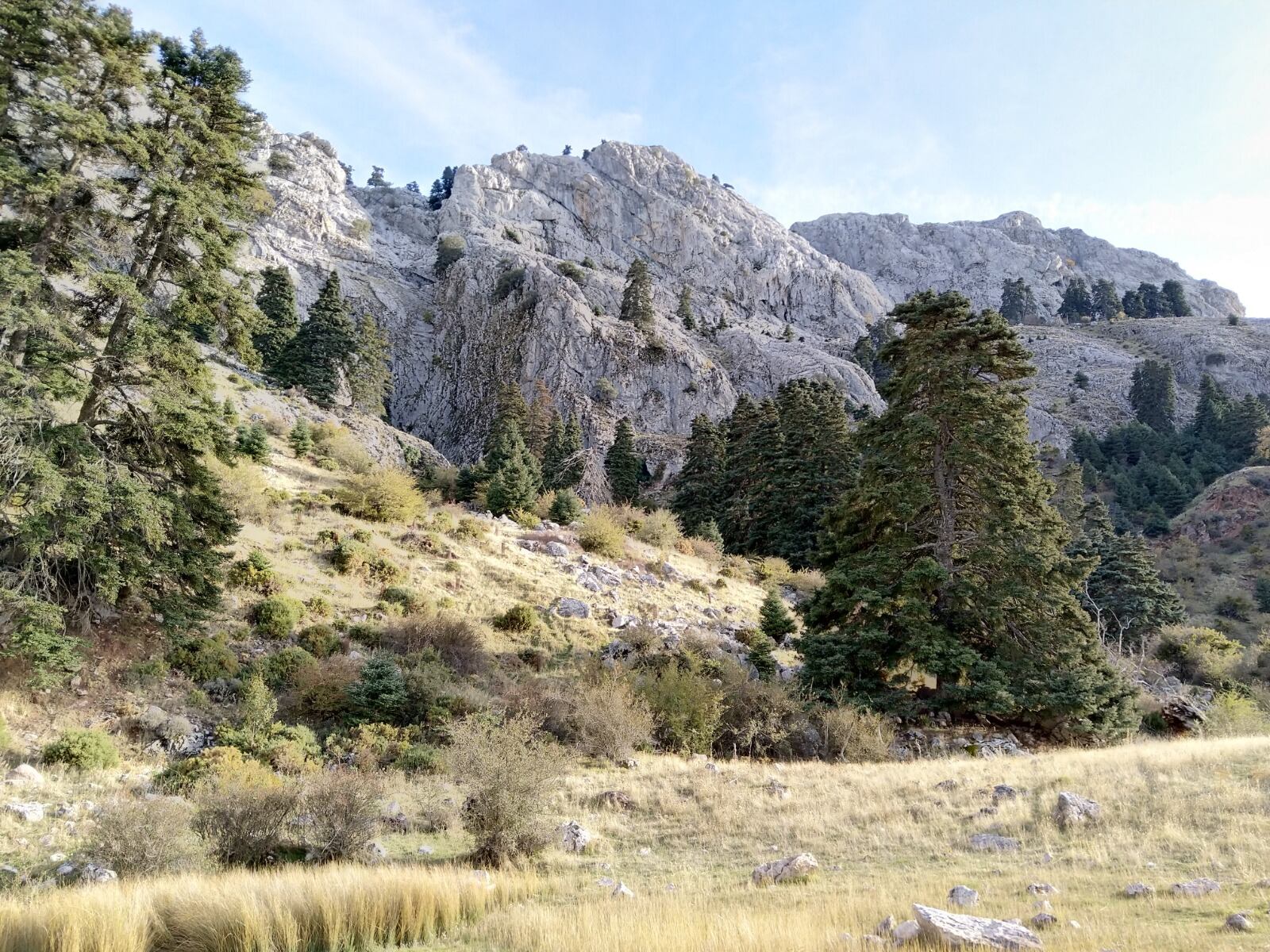 Sierra de las Nieves