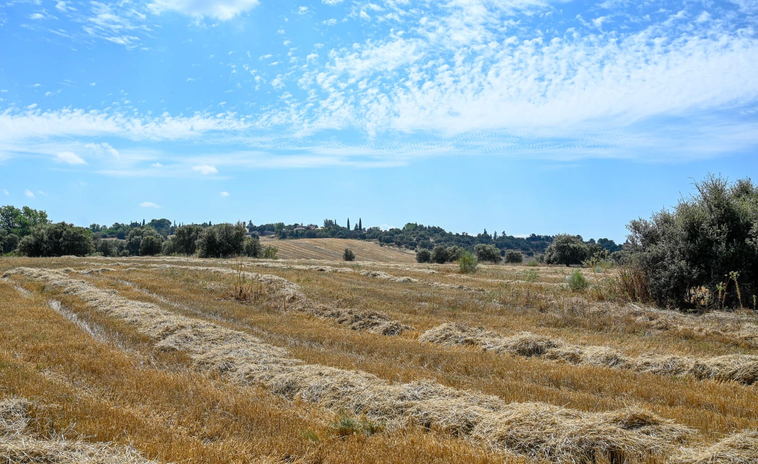 Terrenos de Algete Norte