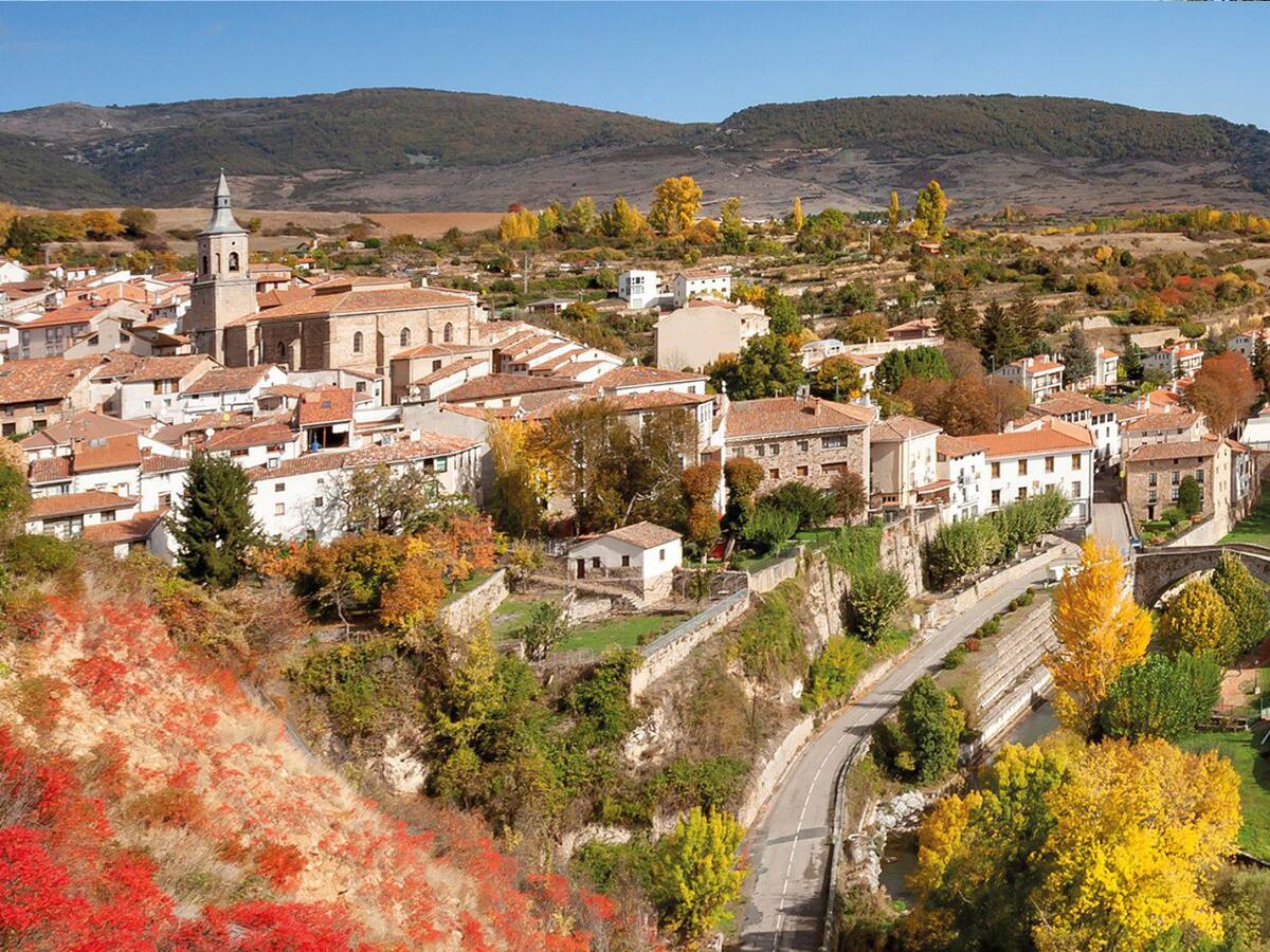 'Vida por Vida' entrega sus galardones y recibe la solidaridad de Torrecilla