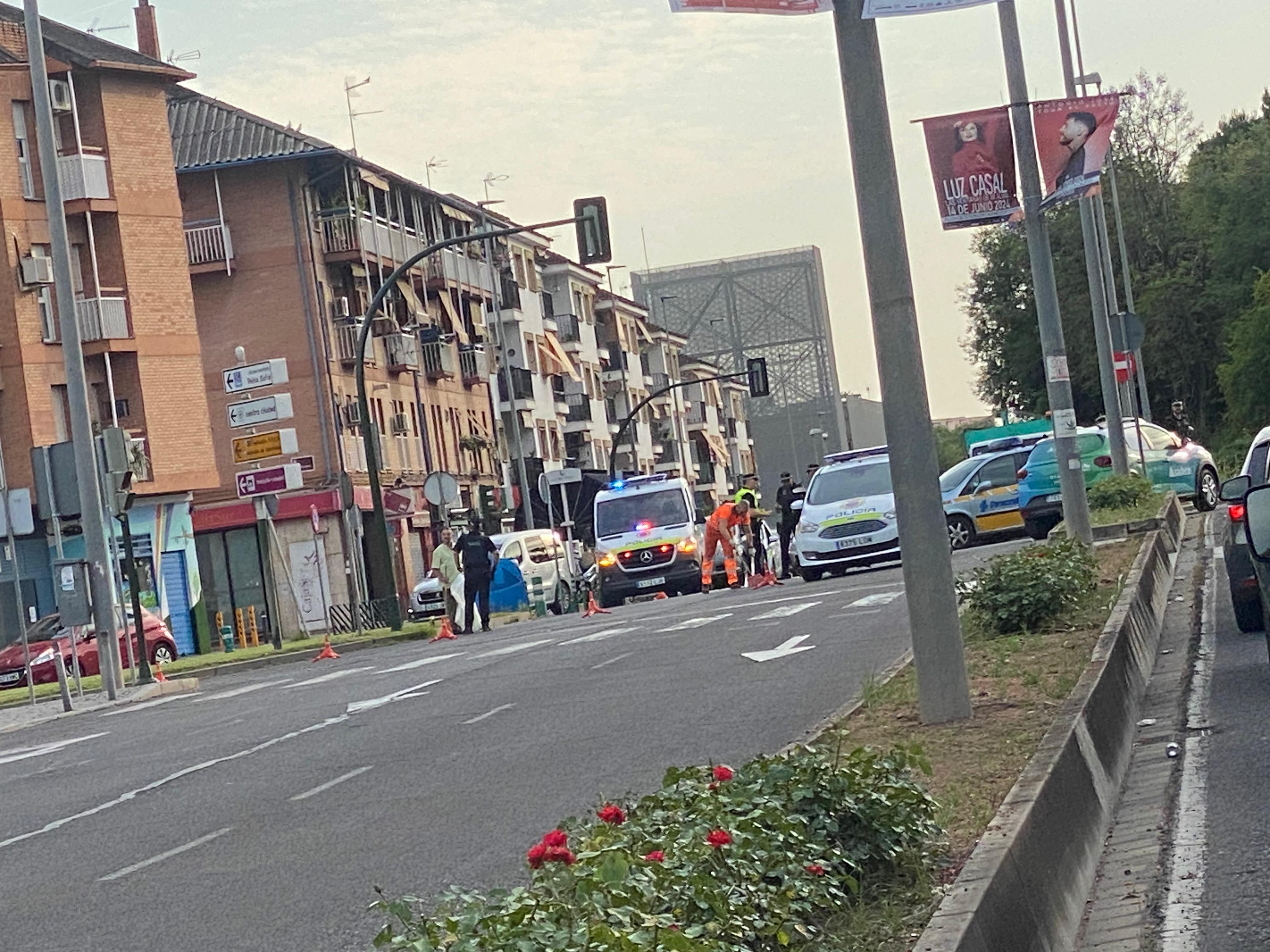 Momento del accidente, en la avenida de la Libertad (Ángel Muñoz)