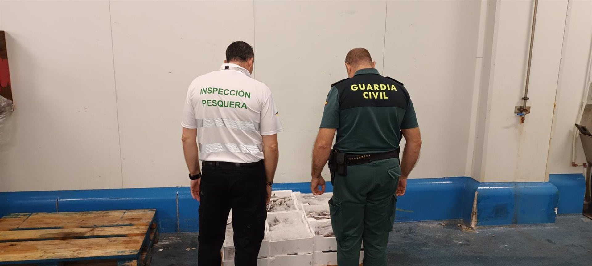 Inspección en una distribuidora de pescado