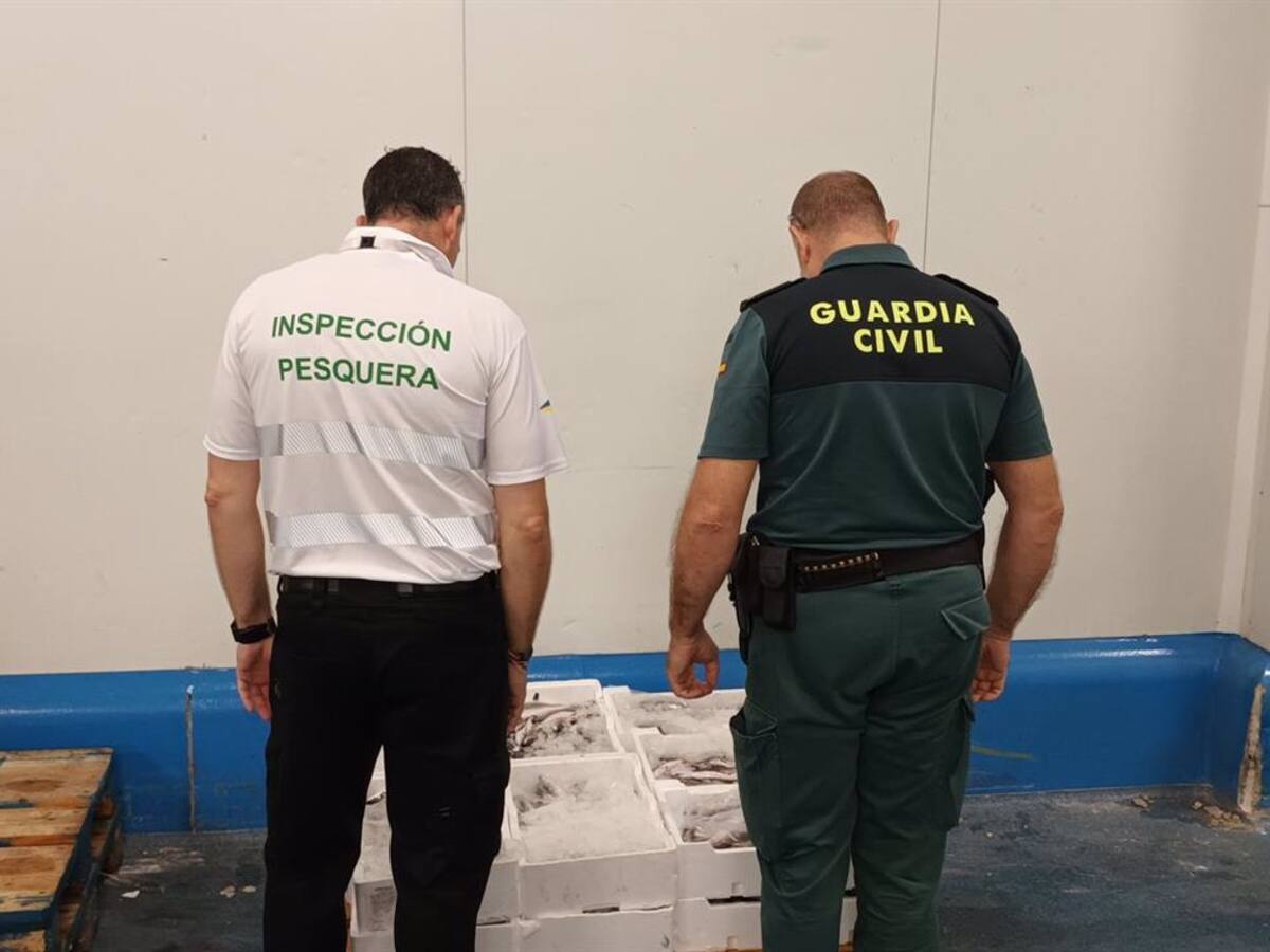 Intervenidos en Guarromán más de 78 kilos de merluza no apta para el consumo
