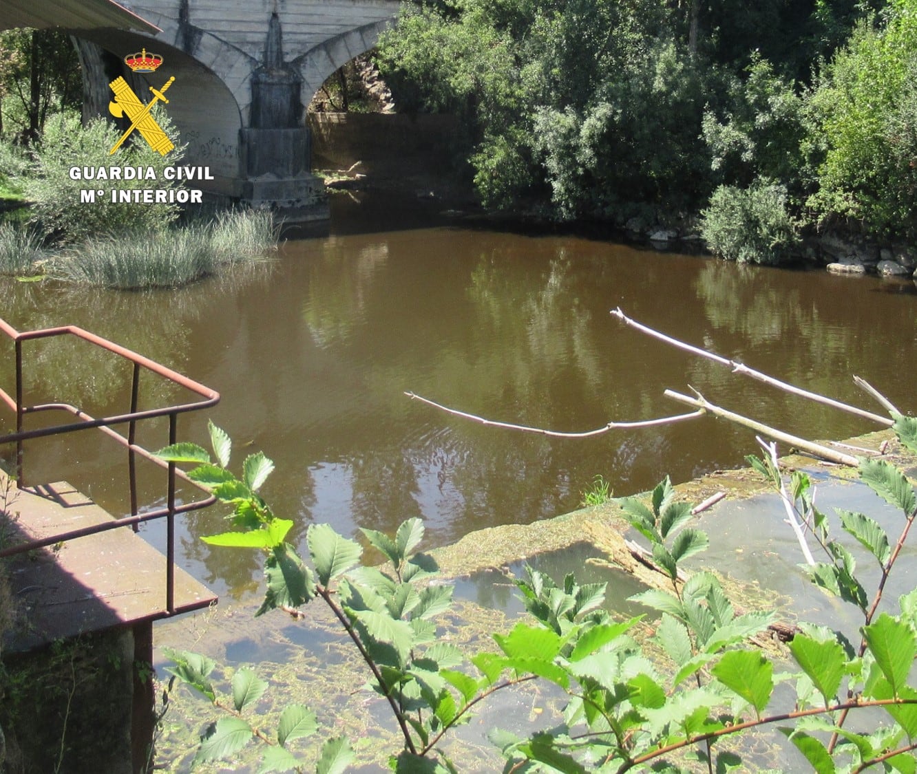 Río Bayas a su paso por Miranda de Ebro