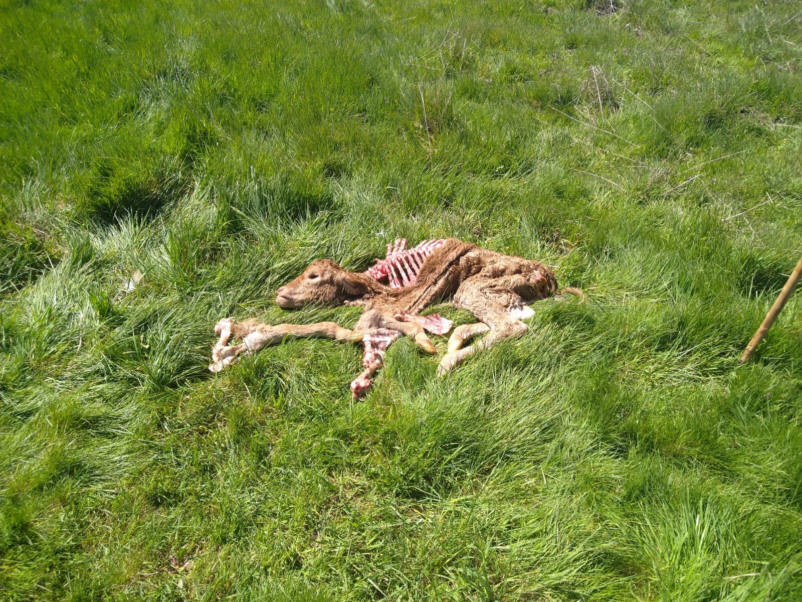 Fotografía facilitada por ASAJA Salamanca