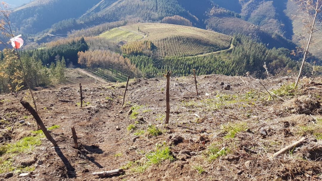 Imagen de una de las zonas en las que aún podrían hallarse explosivos sin detonar de la Guerra Civil