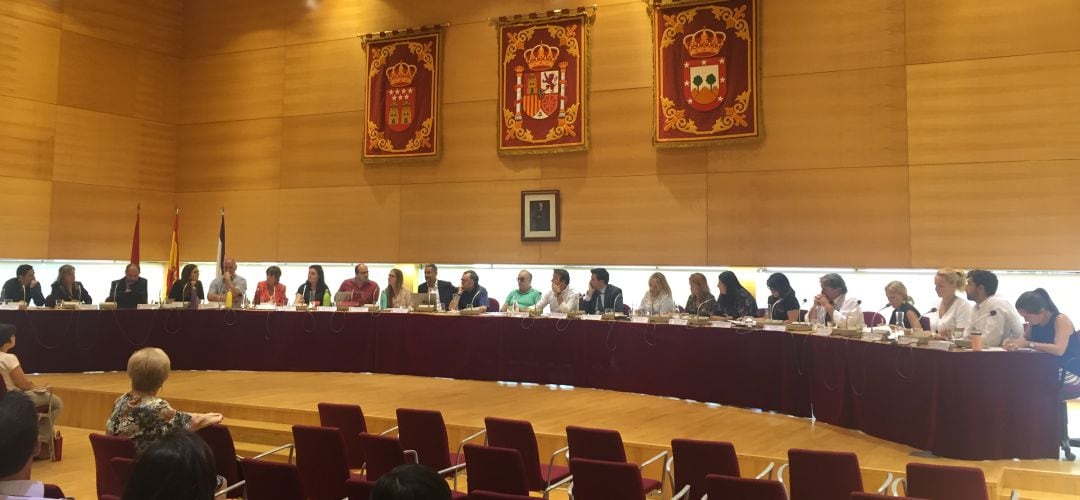 Pleno municipal ordinario en Tres Cantos