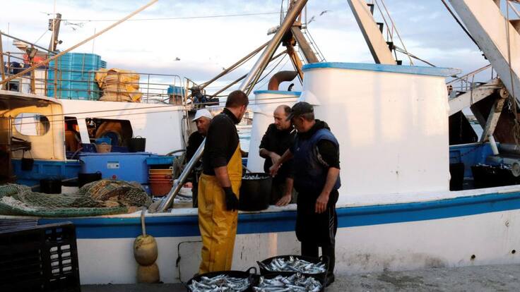 ¿Cómo protegemos nuestros mares?