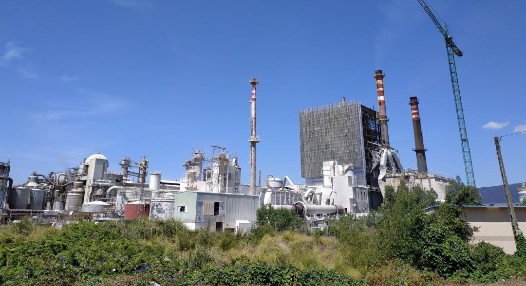 Archivo - Imagen de la fábrica de Ence Celulosa en Pontevedra.