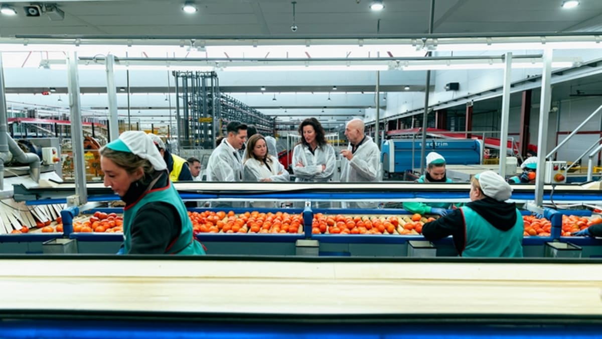 El Ayuntamiento de Almería viaja a Fruit Logistica “para arropar y poner en valor el trabajo de agricultores, comercializadoras e industria auxiliar”