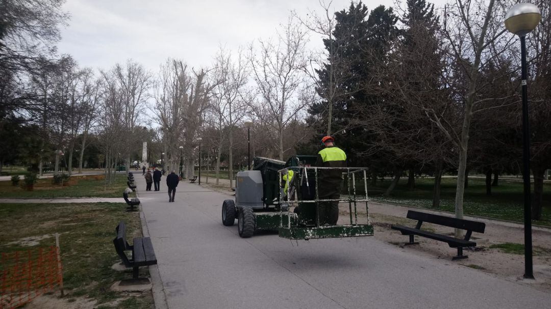 Preparativos en el parque Tío Jorge para acoger la fiesta de la Cincomarzada