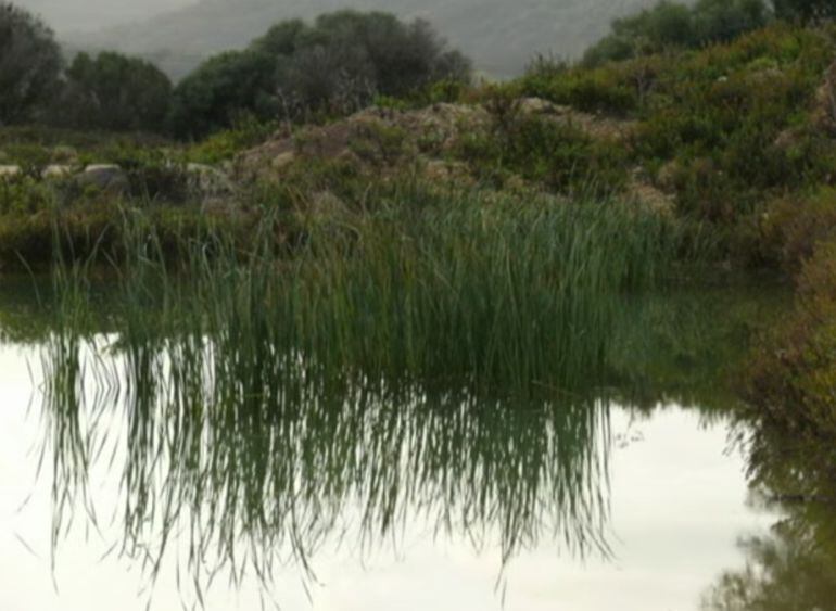 Acuífero Las Pilas en Algeciras