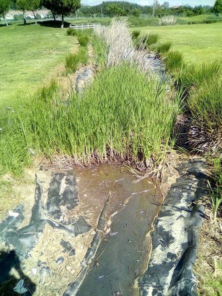 La Asociación de Vecinos de la zona del parque Ribera Sur pide actuaciones en la zona verde