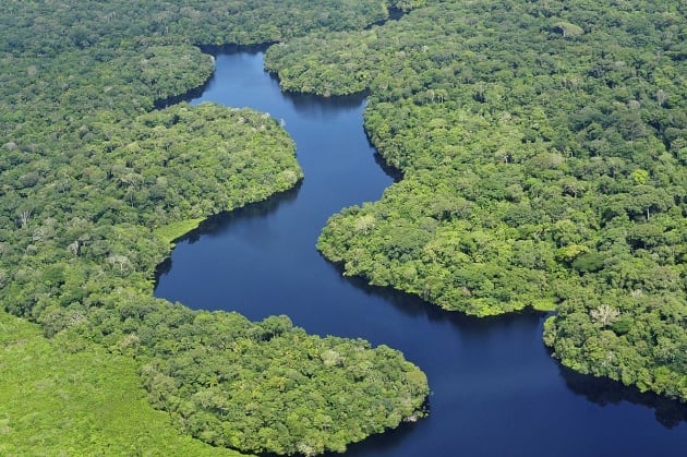 La Amazonia es la mayor región de bosque tropical del planeta. Desde 1970 se ha perdido solo en Brasil una superficie forestal más grande que toda Francia y la ganadería ha sido la responsable de la mayoría de esta deforestación, según datos de Greenpeace