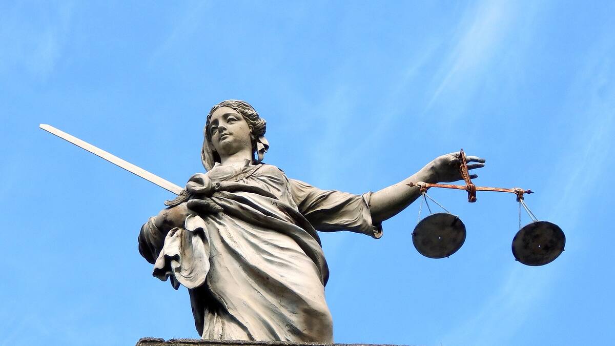 Conoce a las criaturas que podrían ayudarte en un juicio