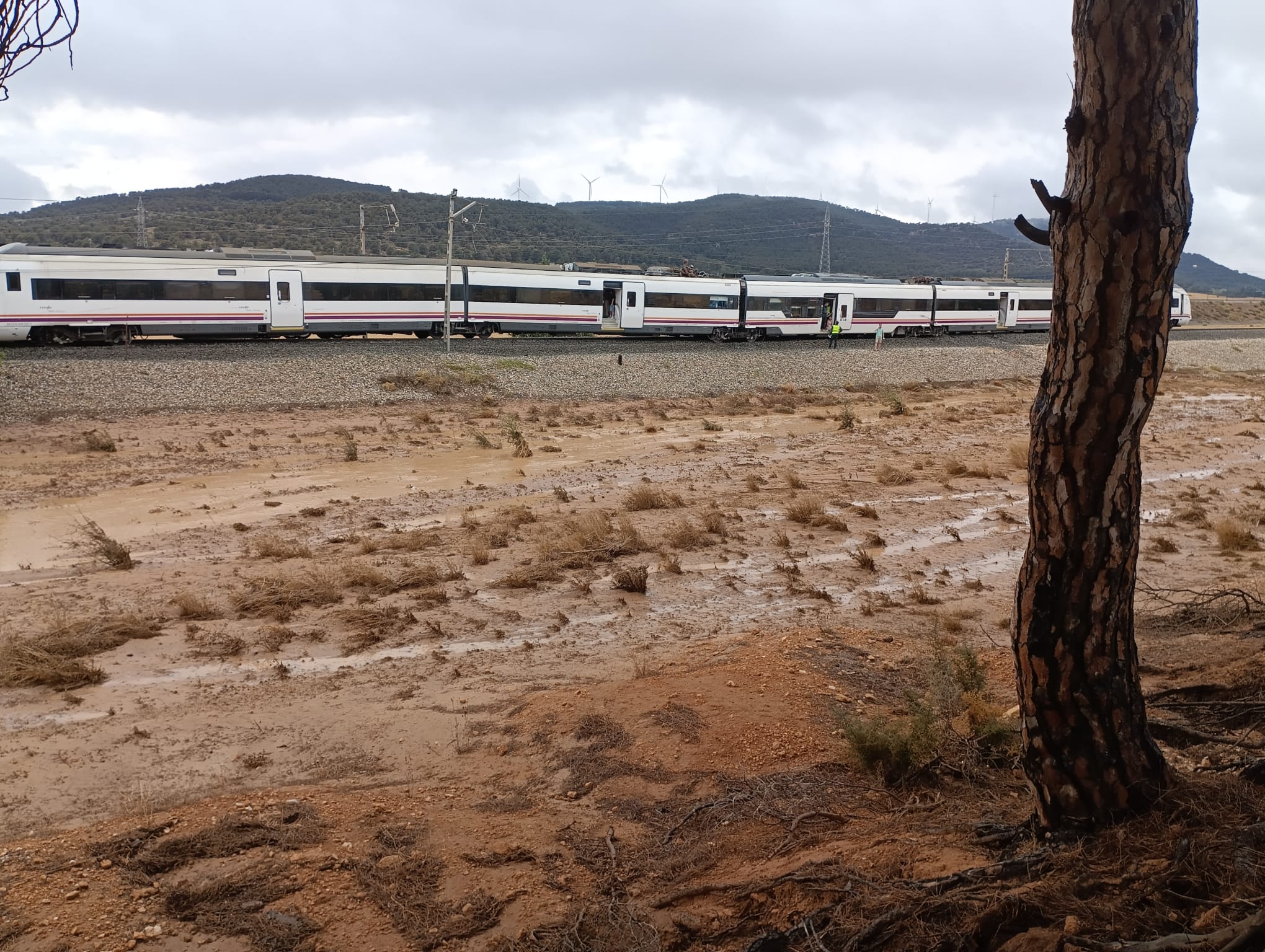 Imágenes del tren descarrilado