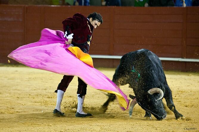 El diestro sevillano de Camas Alfonso Oliva Soto durante su actuación del pasado año en la corrida pinzoniana de Palos de la Frontera.