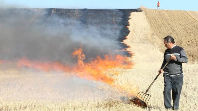 Quema de rastrojos en una localidad de Valladolid