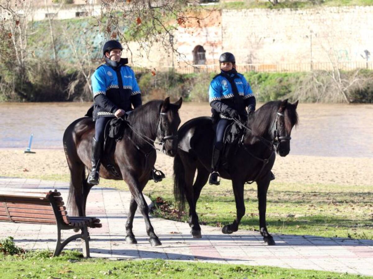 La Policía Municipal será reestructurada y se suprimirá la Unidad a Caballo