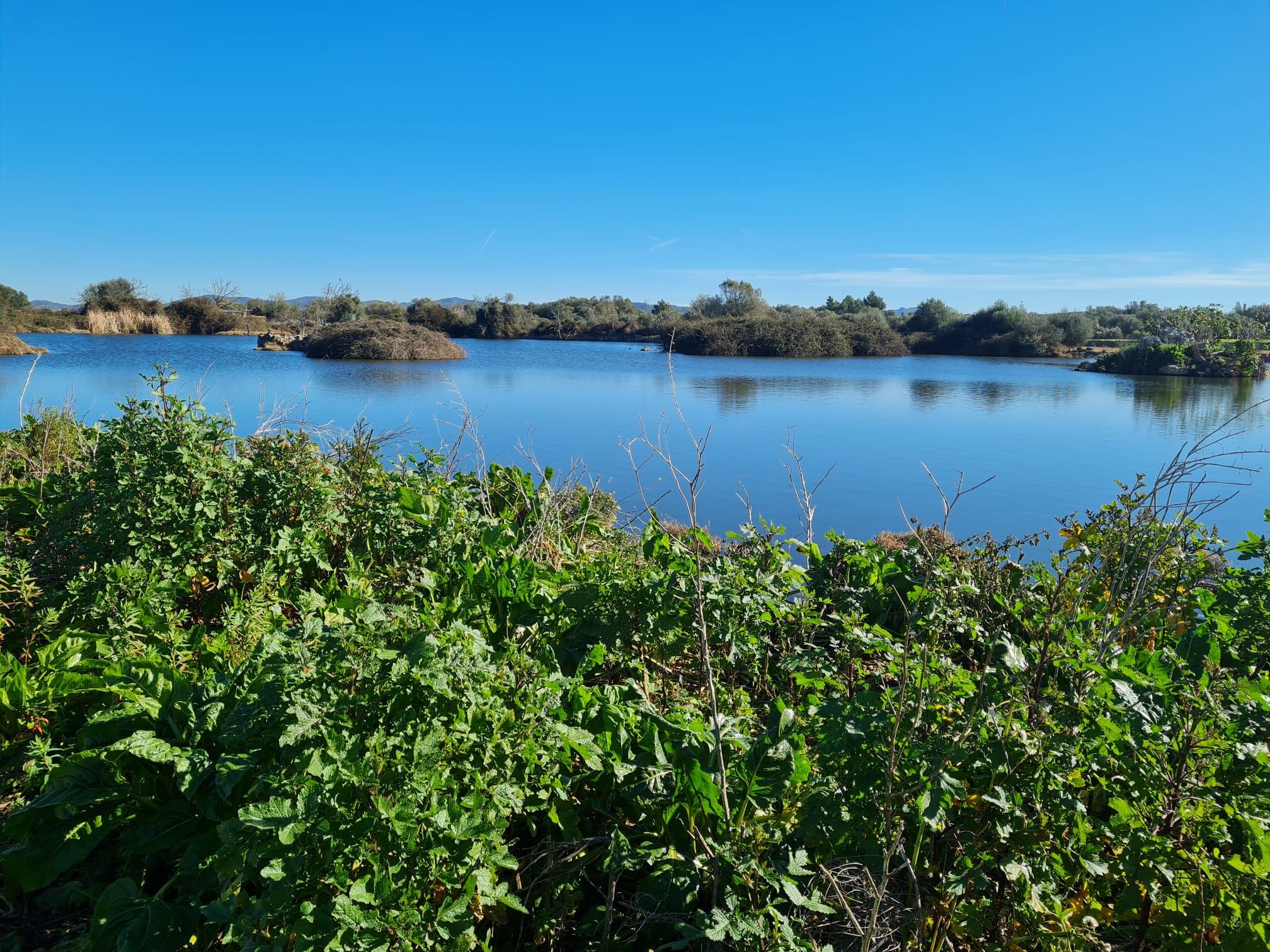 Es vol vigilar la biodiversitat d'aquestes basses per refermar la qualitat de l'aigua.