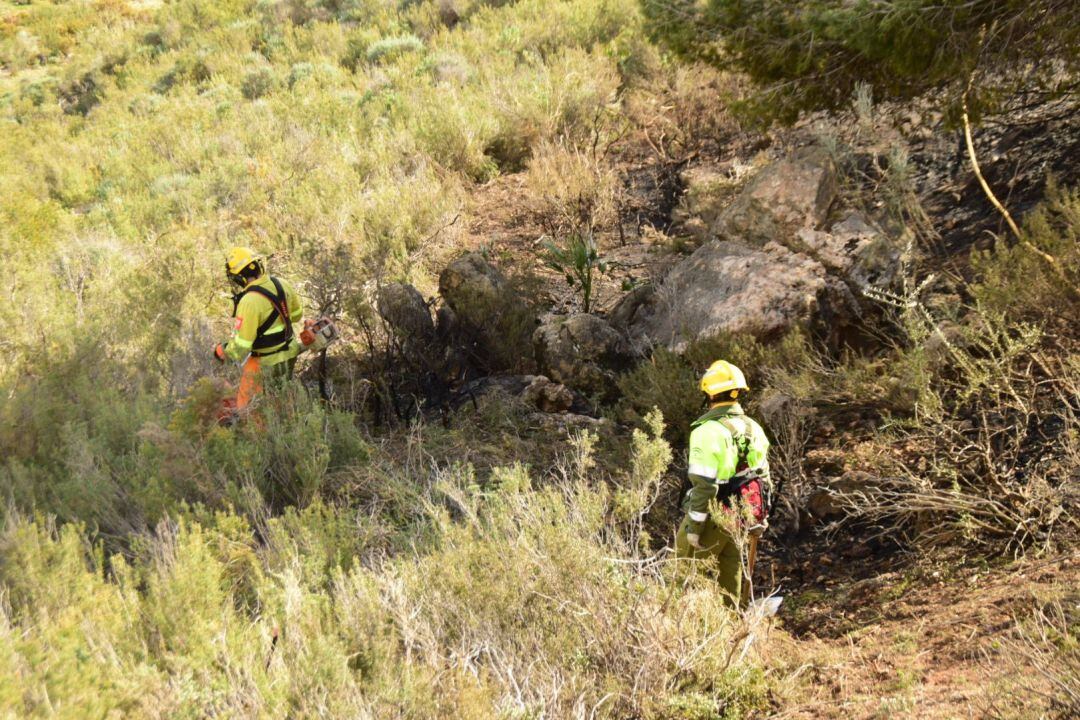 Miembros del Plan Infoca intentan extinguir el incendio de Cerro Gordo en Motril