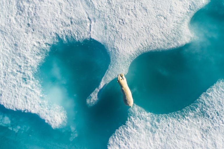 Fotografía del año. Drone Awards