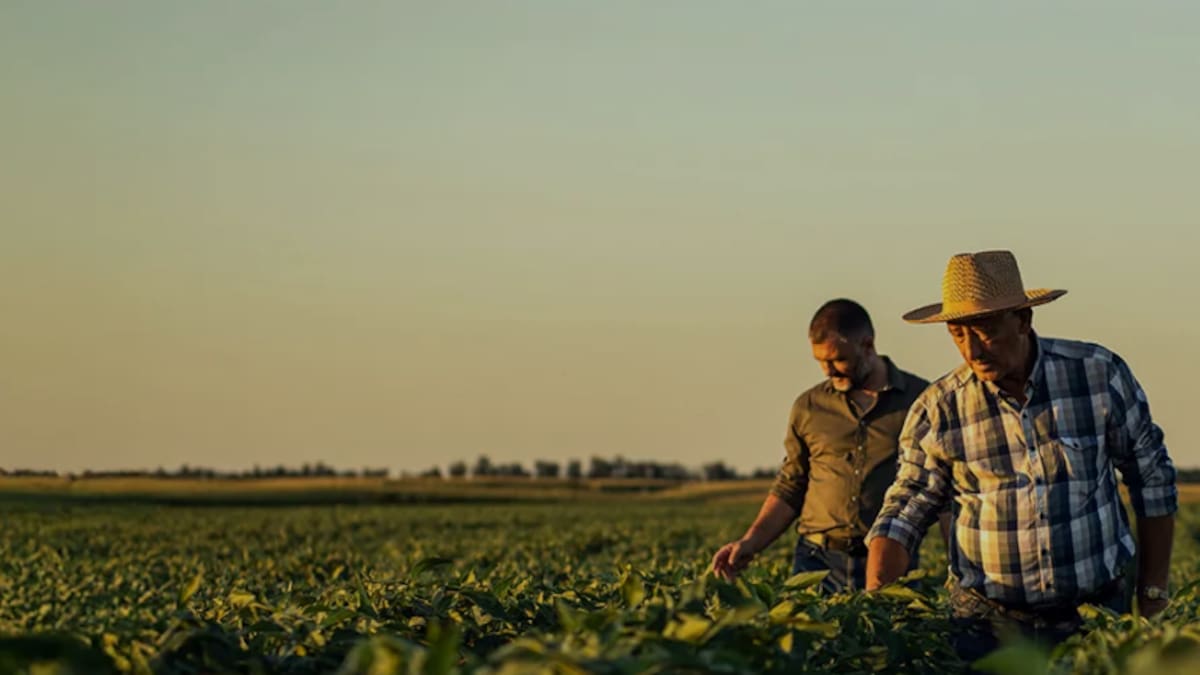 Los regantes del Alto Júcar de Cuenca impulsan la recuperación del regadío