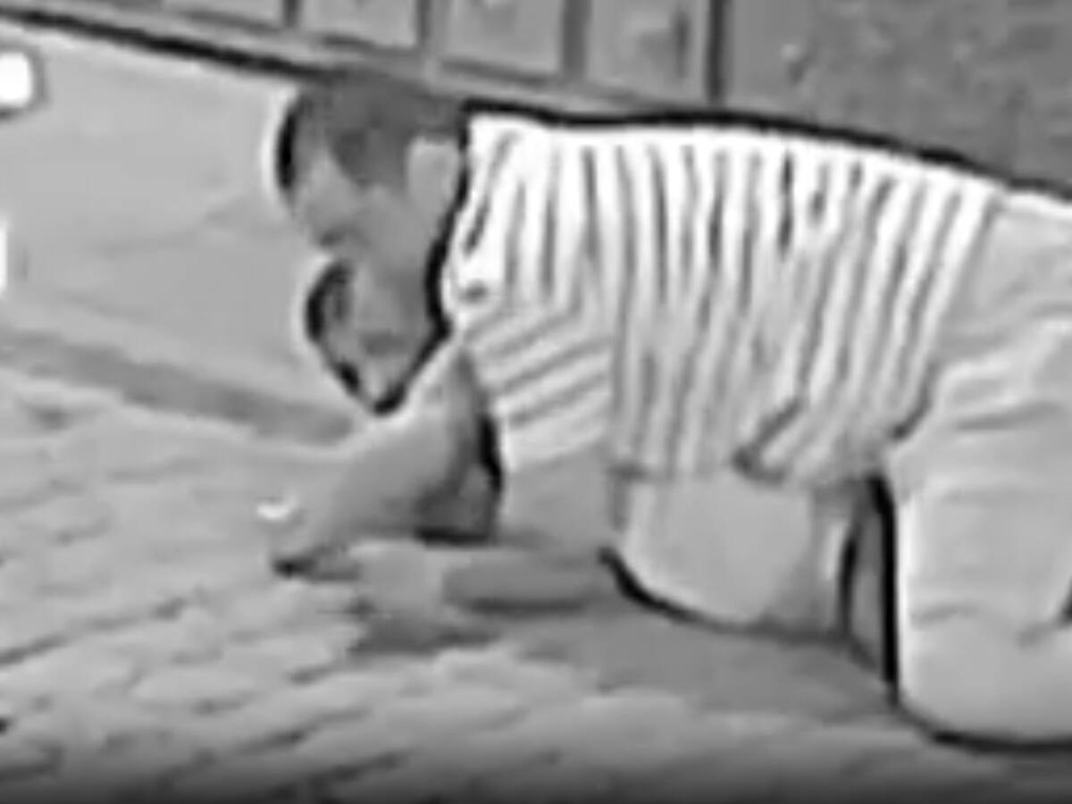 Un hostelero de Úbeda reduce a un varón que intentaba robar en un establecimiento de restauración