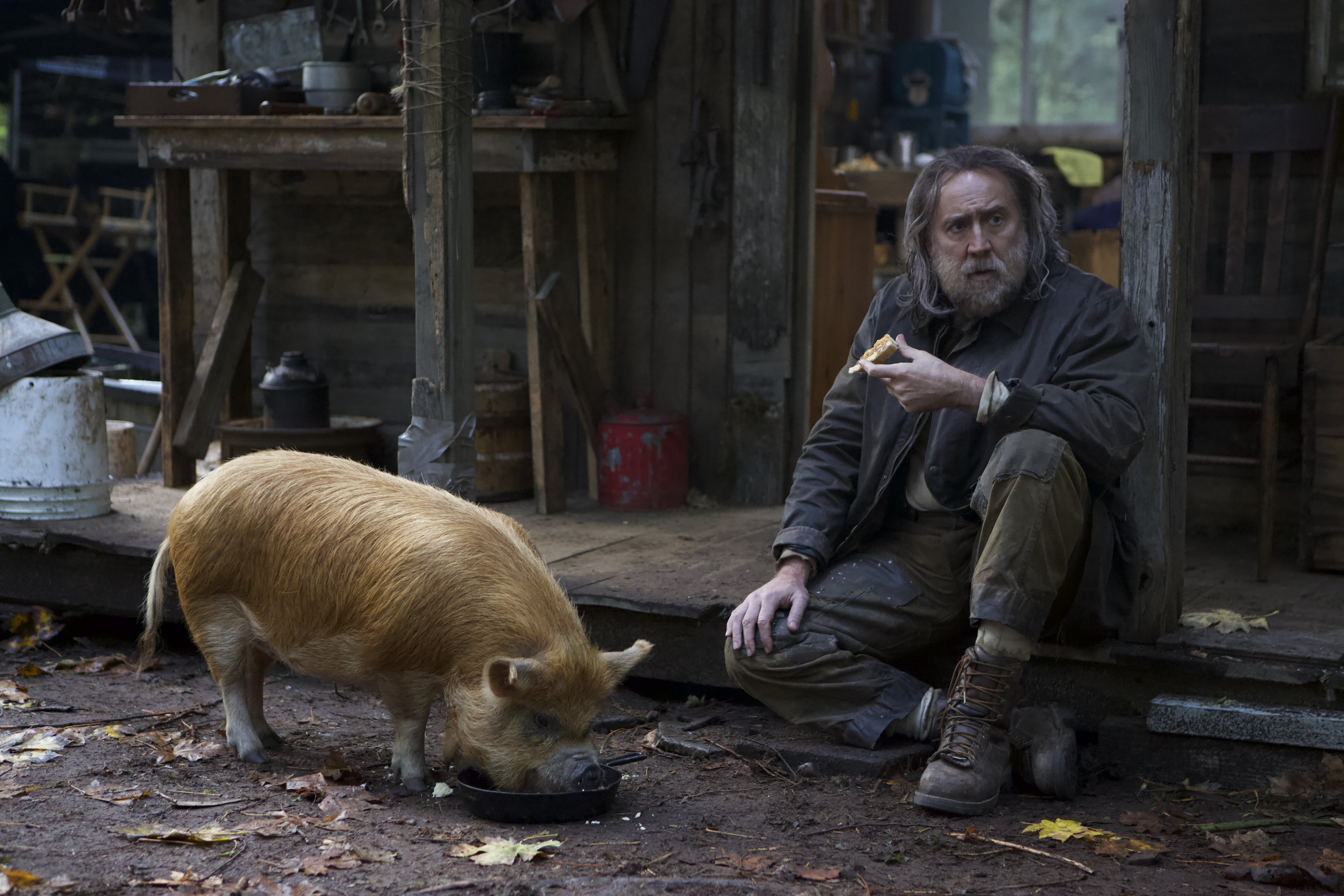 Nicolas Cage y su cerda busca trufas durante el rodaje de &#039;Pig&#039;