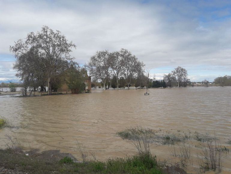 Campos en Tauste, anegados