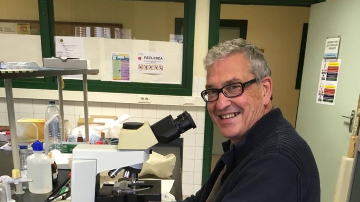 El profesor del Campus de Huesca Juan Barriuso dirigirá la nueva Cátedra de Bosques Urbanos