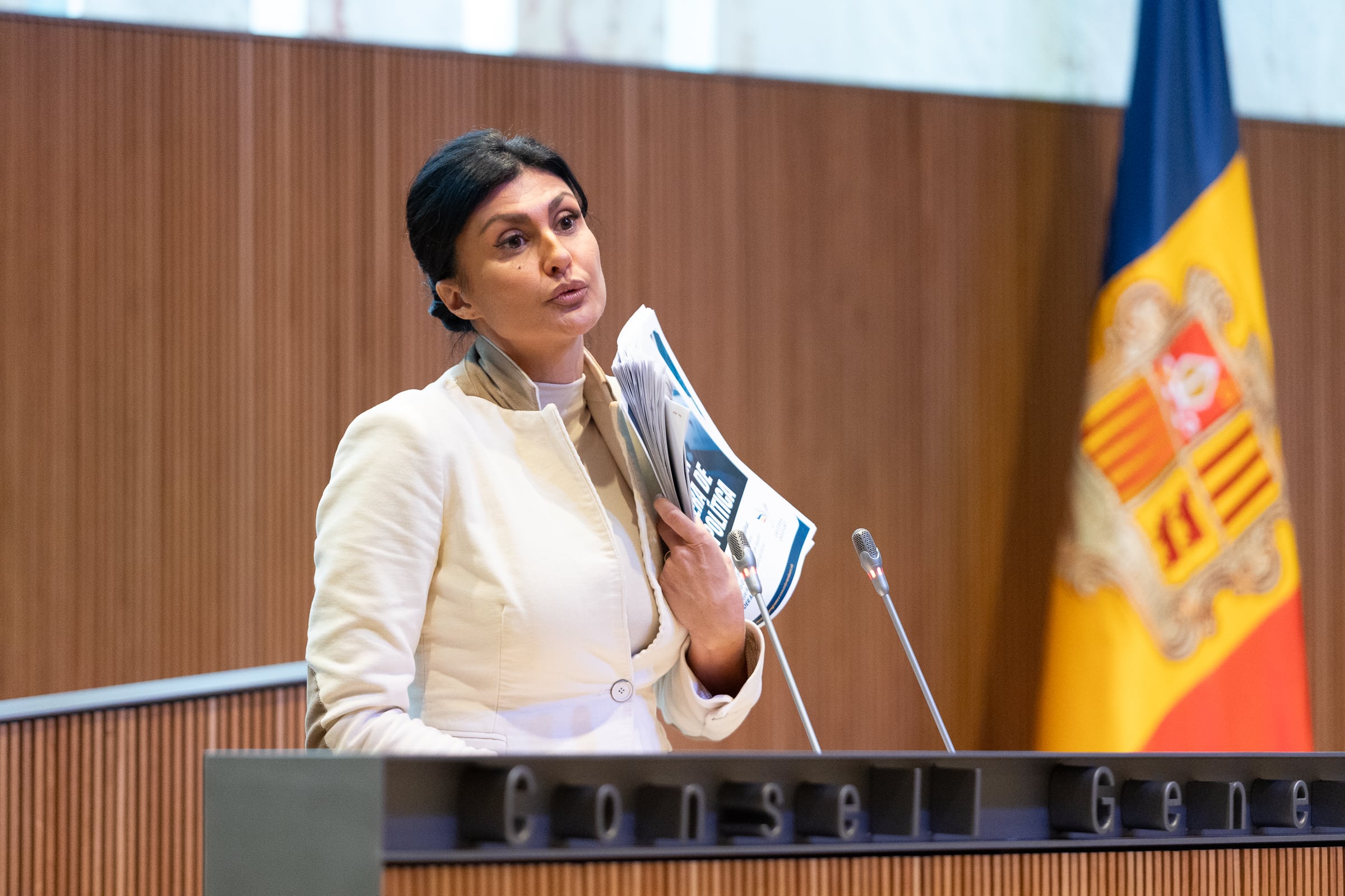 Carine Montaner des del feristol del Consell General