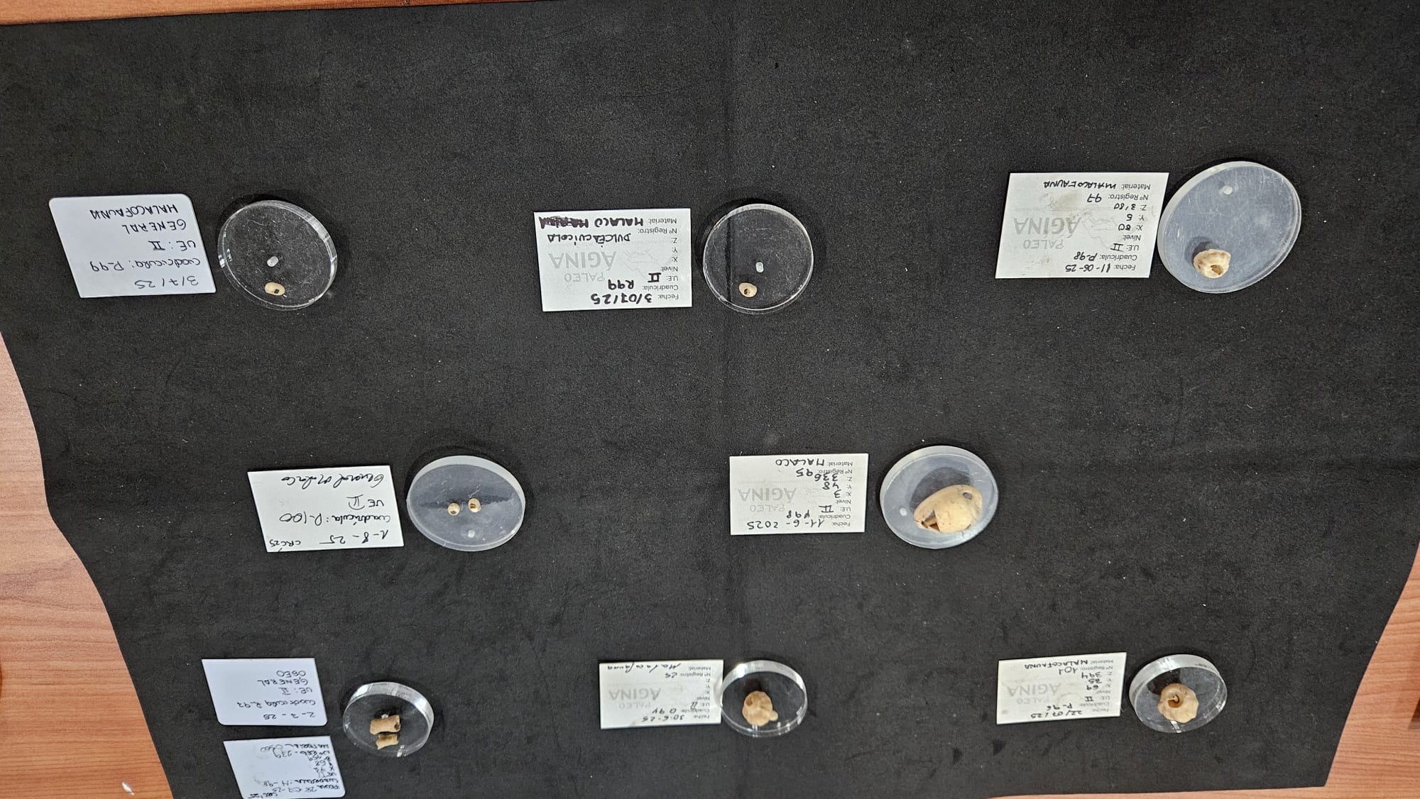 Algunos de los objetos encontrados en el VII Campo de Voluntariado de la Cueva del Nacimiento del río Cuadros