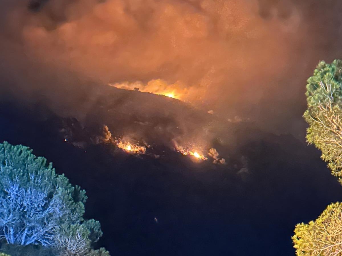 Incendio en la Sierra de Altaona (Murcia)