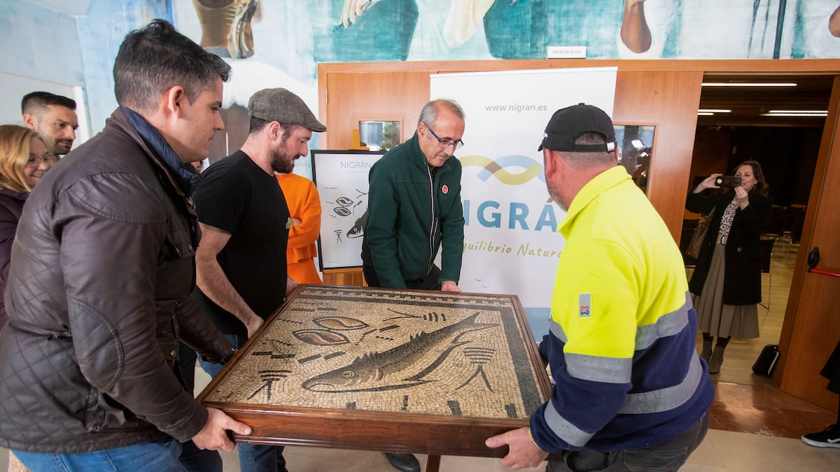 El alcalde de Nigrán anuncia la exposición del mosaico romano