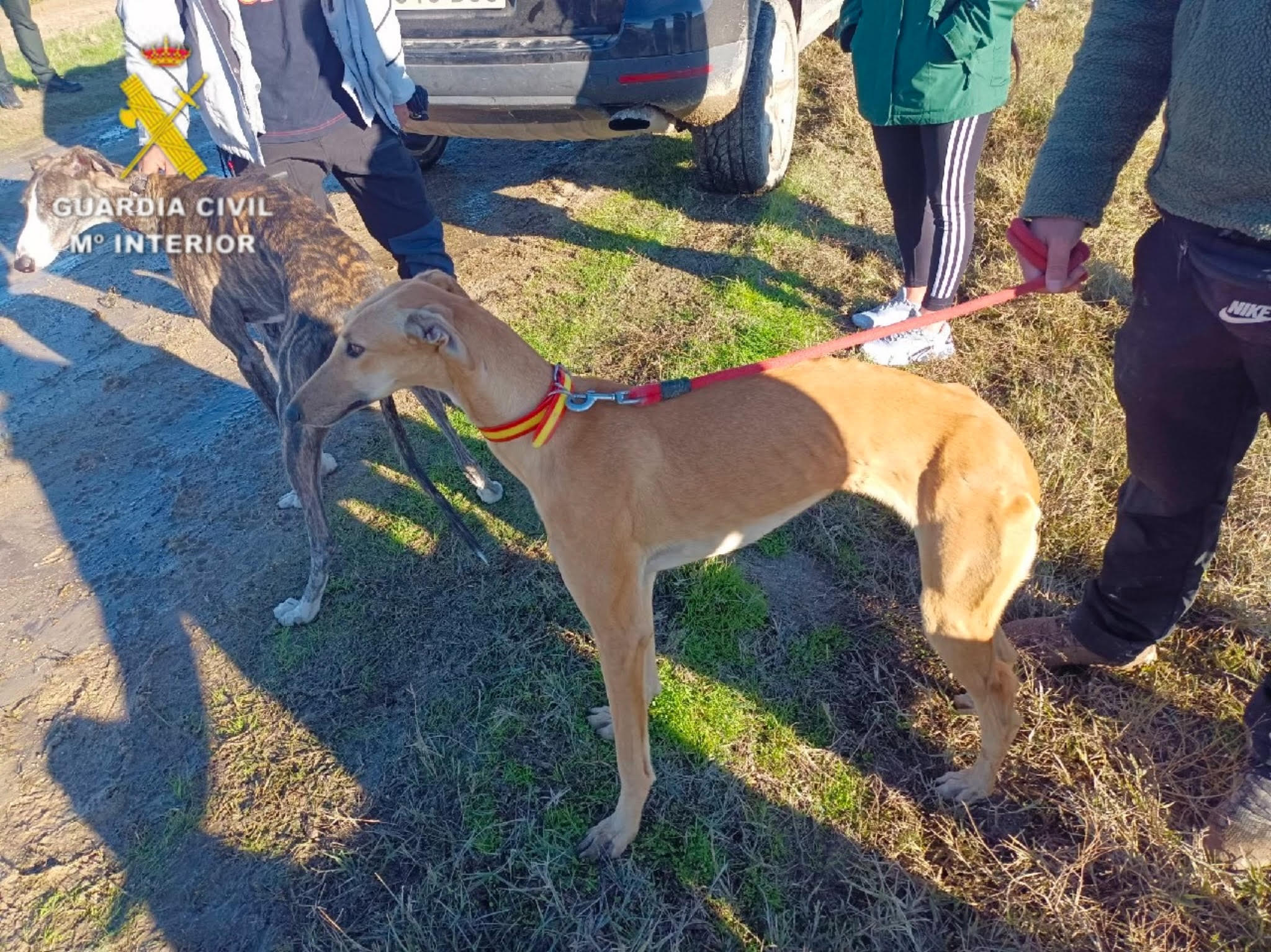 Seis investigados por caza furtiva en Velada (Toledo)
