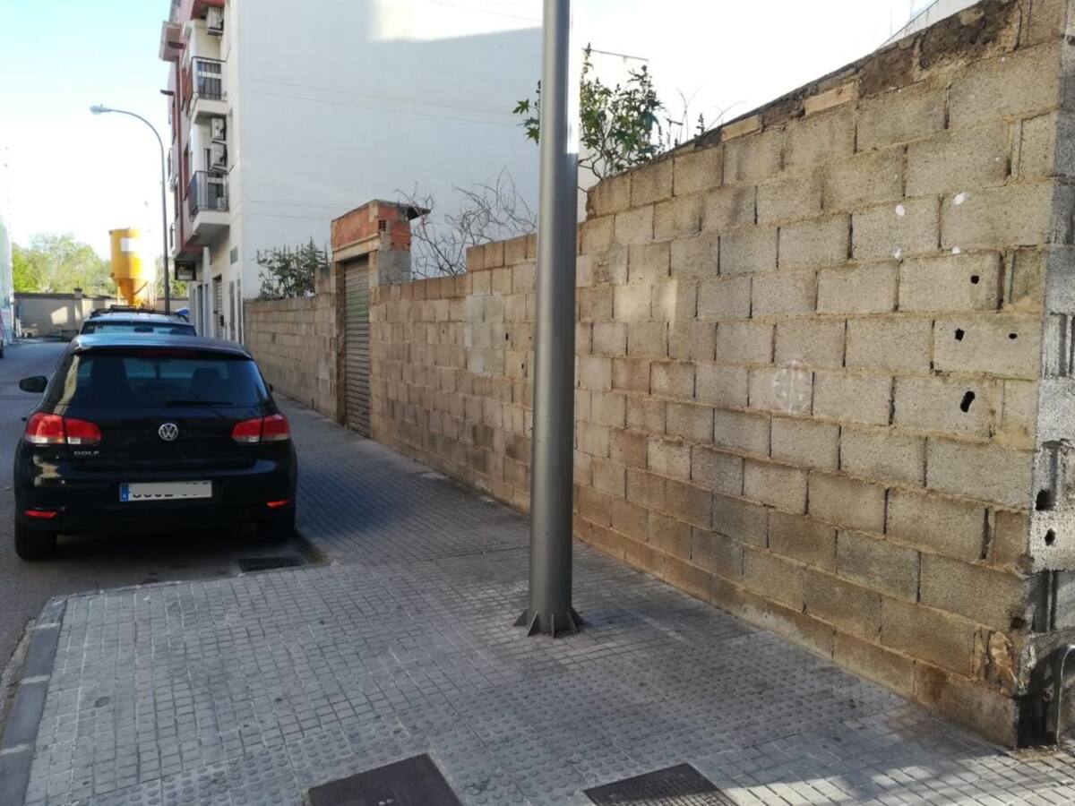 Los vecinos de Cas Capiscol denuncian la presencia de ratas en la zona de Son Busquets