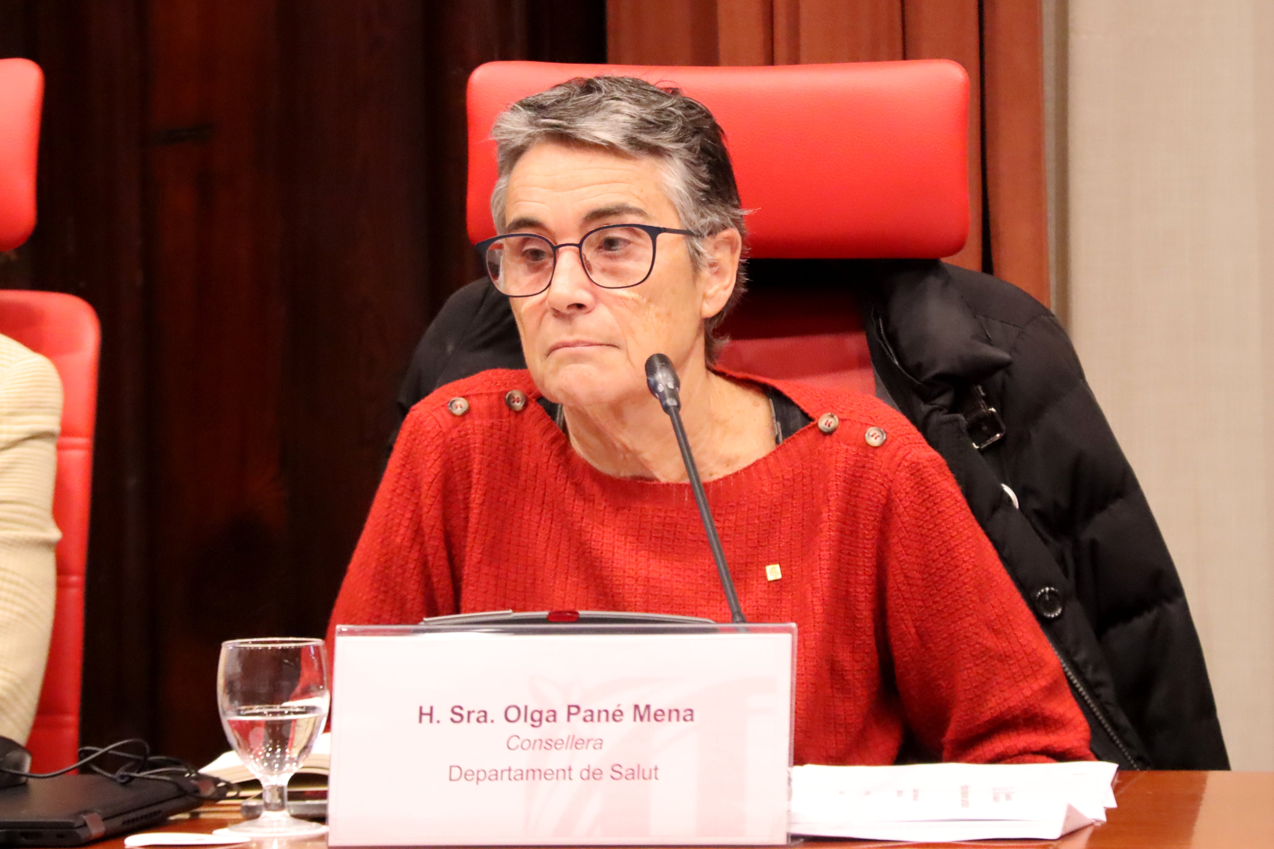 La consellera Olga Pané en una comissió al Parlament