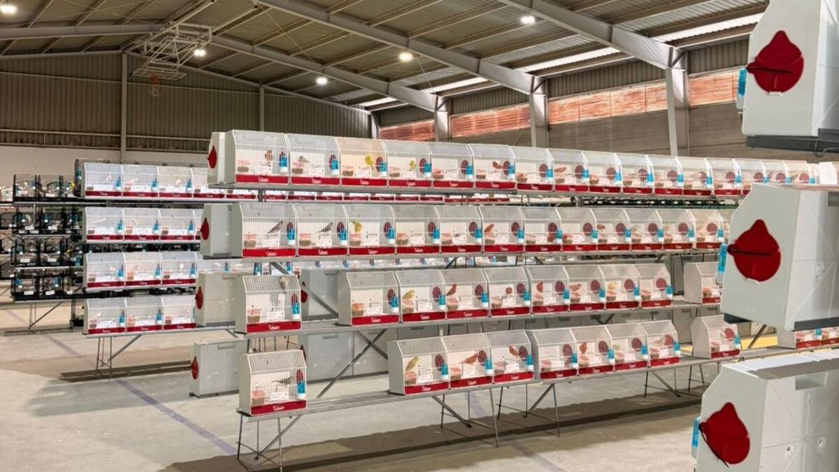 Los Cortijillos acoge la XIV muestra de aves