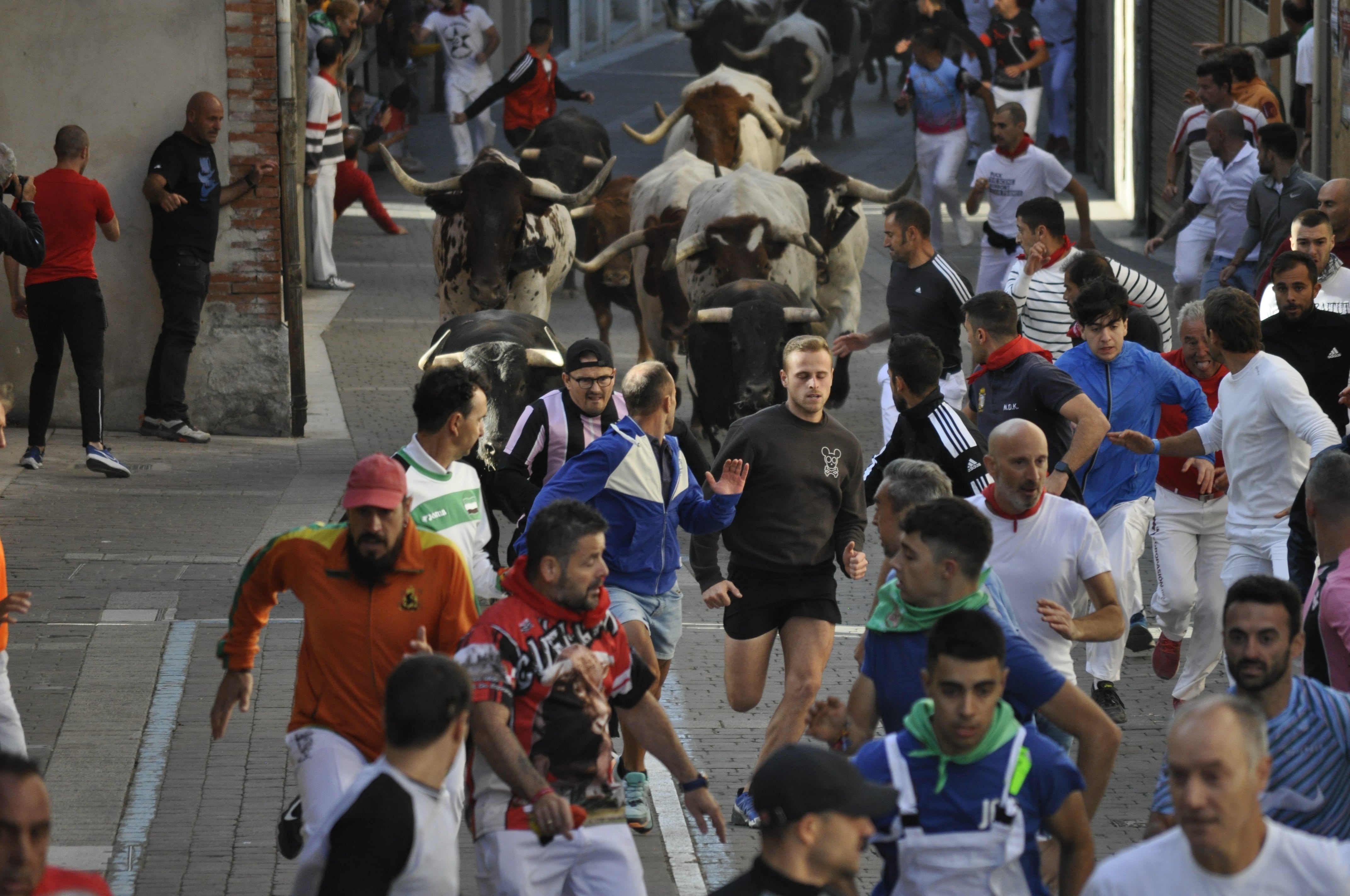 Encierro de Arauz de Robles en la calle Parras de Cuéllar. Domingo 27 agosto 2013