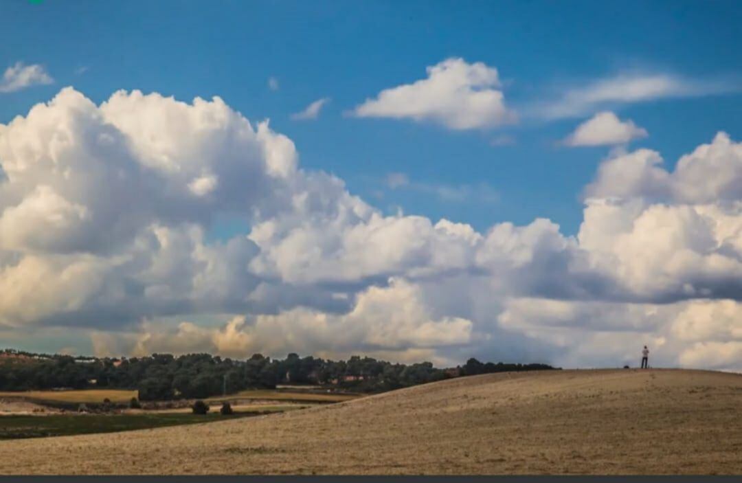 Imagen del campo de Villena