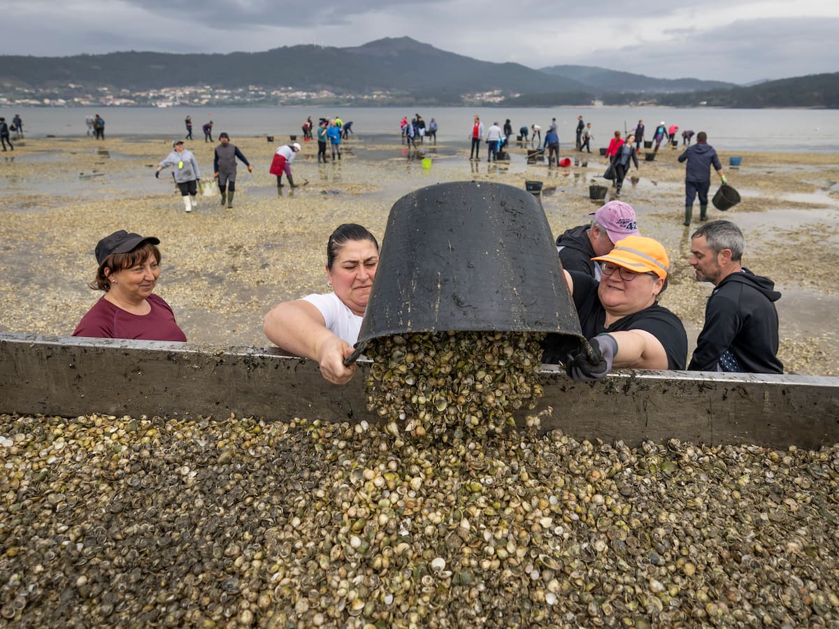 El sector marisquero gallego, al borde del abismo: "Está siendo un año infernal, no pueden venirnos más cosas malas"