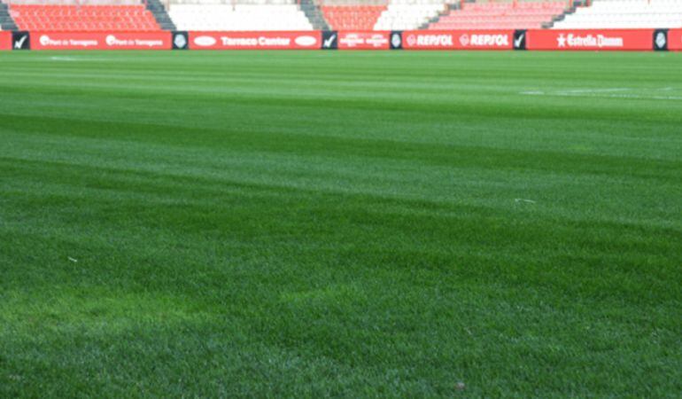 Gespa del Nou Estadi de Tarragona.