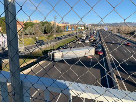 Un cerdo junto al camión accidentado.