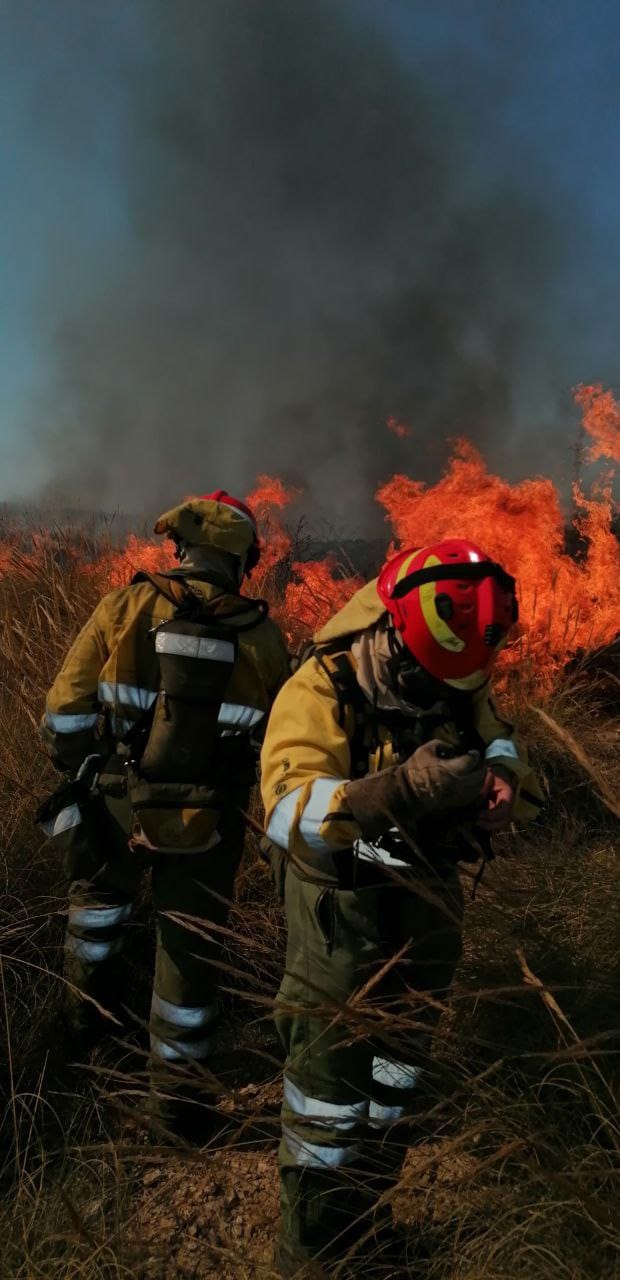 Bomberos trabajan en la extinción del incendio declarado en El Saladillo, en Mazarrón