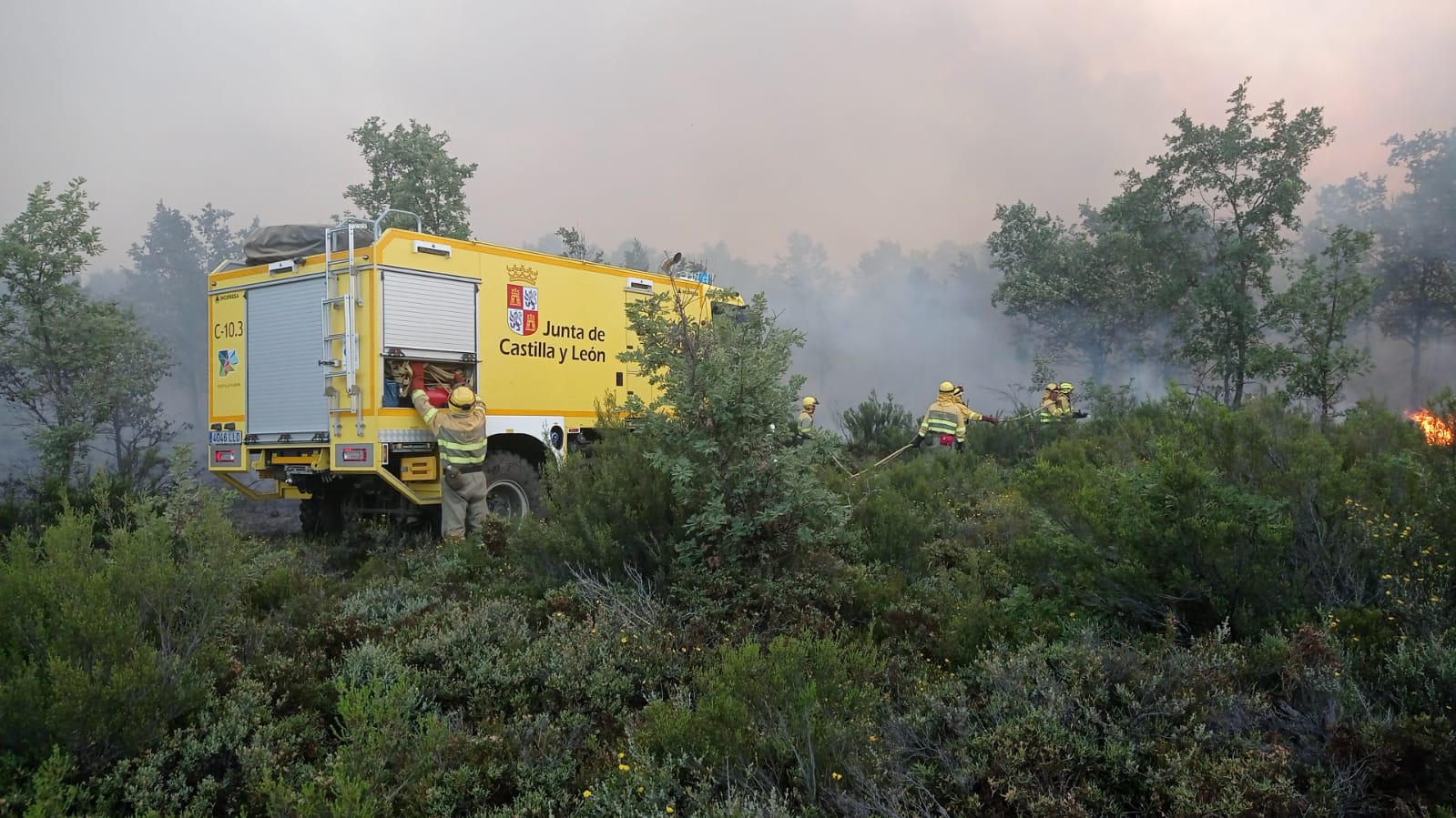 Operarios de la Junta trabajando en el incendio de la Sierra de la Culebra