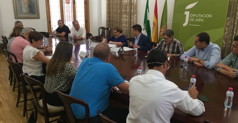 Alcaldes y alcaldesas de la provincia durante la reunión de su consejo con el presidente de la Diputación, Francisco Reyes.