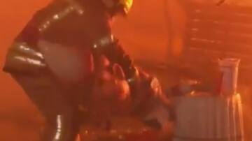 Un bombero da que hablar por lo que hace con la cabeza de 'Mazón' en una falla ardiendo