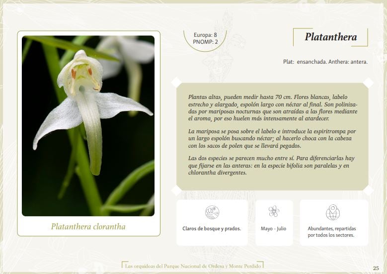 Catálogo de orquídeas que se pueden encontrar en el Parque Nacional de Ordesa y Monte Perdido