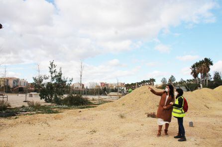 Obras en el Parque Central